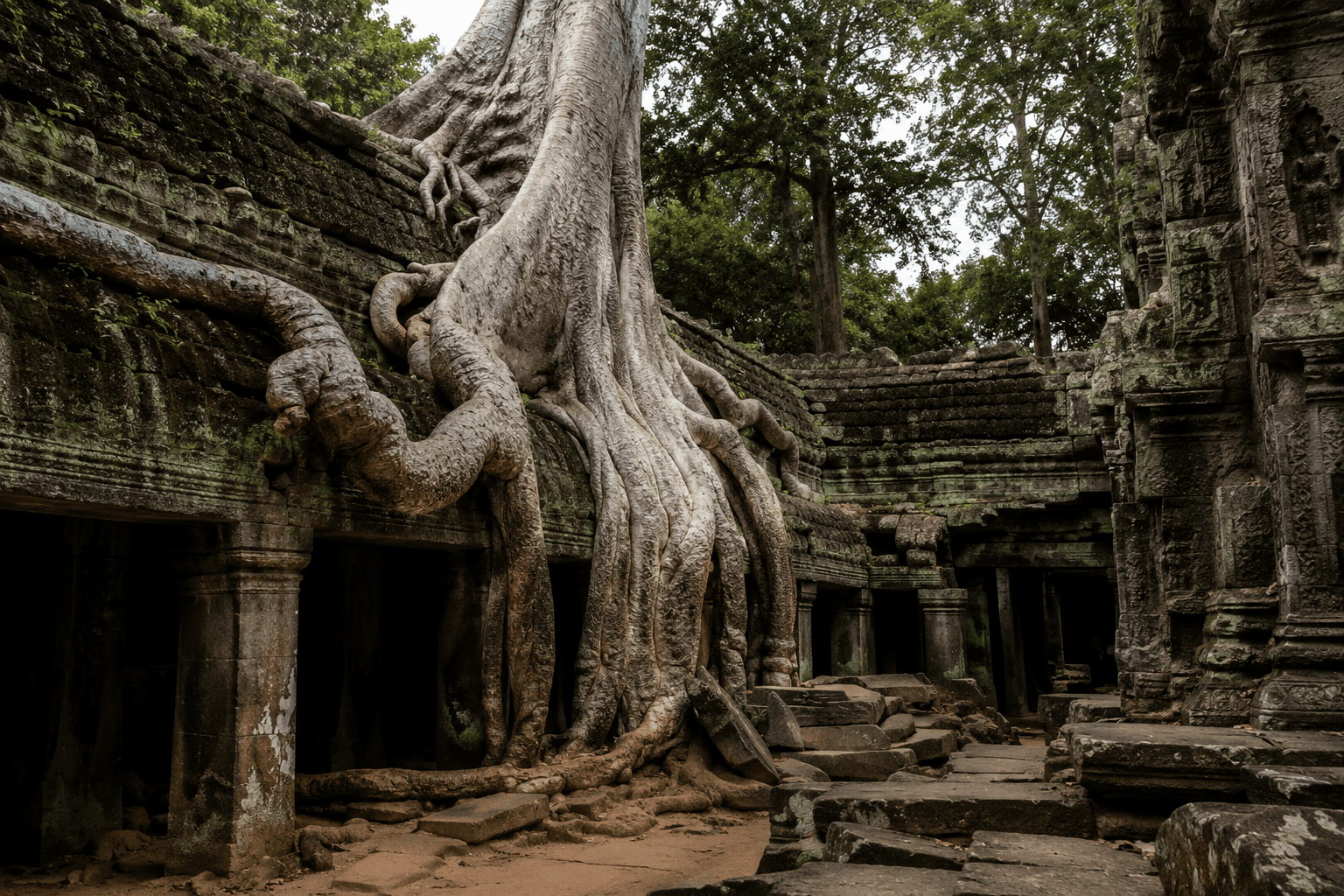 Raíces de árbol gigante cubriendo las ruinas del templo Ta Prohm en Angkor